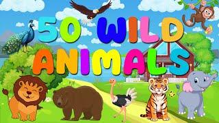 50 Wild Animals for Kids and Toddlers Learning | English Vocabulary | Kids Learning | BrainyBeams