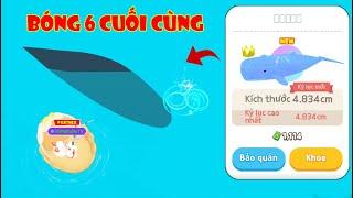 (Play Together) Loài Cá Sắp Bị Tuyệt Chủng "Bóng 6 Cuối Cũng Năm 2024"