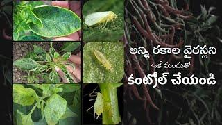 అన్ని రకాల వైరస్లకు పనిచేసే Top 7 best insecticides || TFS Sagubadi #suryabhaskar