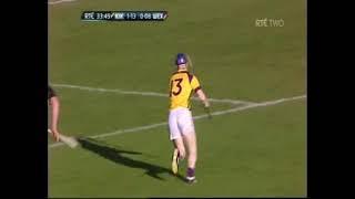 2011 Leinster Hurling Semi Final Wexford v Kilkenny
