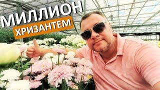 Крым.  НЕВЕРОЯТНОЕ МЕСТО, ГДЕ РОЖДАЕТСЯ КРАСОТА. Я посетил агрохолдинг "Верёвкин хутор" Капитан Крым