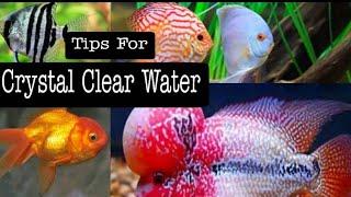 Tips for getting crystal clear water in fish aquarium