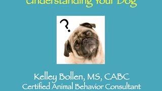 "Understanding Your Dog" with Kelley Bollen - 6/28/16