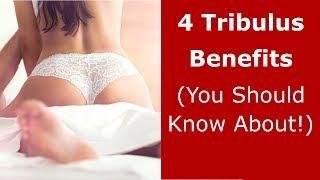 4 Tribulus Benefits (You Should Know About!)