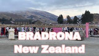 Cardrona Bra Fence New Zealand