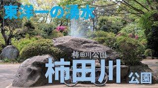 【東洋一の】柿田川公園に寄ったよ【湧き水】