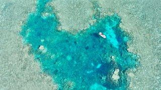 This TINY BLUE HOLE Was Loaded With Fish