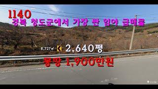 [번호 1140] 경북 청도군에서 가장 싼 임야 1,900만원