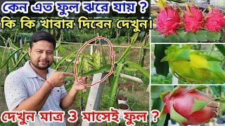 ড্রাগন গাছে ফুল আসছেনা কেন । বর্ষায় ড্রাগন গাছে সার প্রয়োগ । ড্রাগন ফুল ঝরে যায় @greenfriends8901