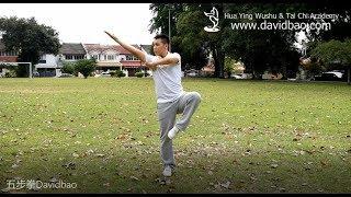 Five Stance Form 五步拳 (Wu Bu Quan) - Kung Fu Wushu Changquan