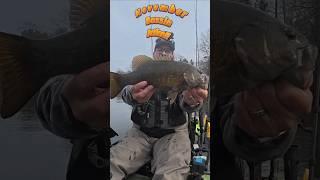 Kayak Fishing Action in November!!!! Catch and Release Smallmouth Bass!