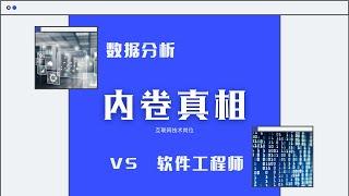 数据分析vs软件工程师｜行业内卷给你安排得明明白白