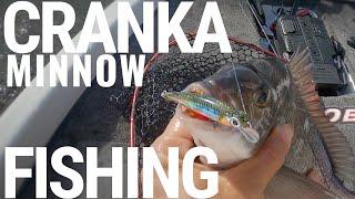 The Cranka Minnow Gets the Fish, This is HOW TO use it