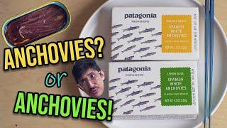 Anchovies, the OTHER SARDINE?? | Canned Fish Files Ep. 66