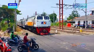 Pemotor ini kayanya mau dicium KA Cikuray! | TRAIN HUNTER