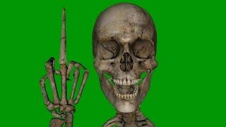 Greenscreen Skull - free to use in your projects