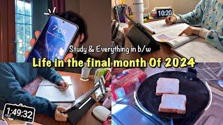 My Life In The Final Month Of 2024 Study Vlog  A productive December ⭐️