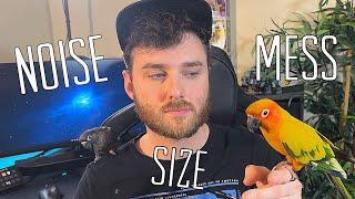 SUN CONURE VS GREEN CHEEK CONURE (NOISE, MESS, BOND, SIZE)