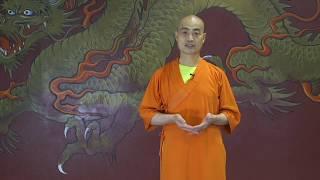 USA Shaolin Temple Shaolin Kung Fu Intro Online Course With Shi Yan Ming