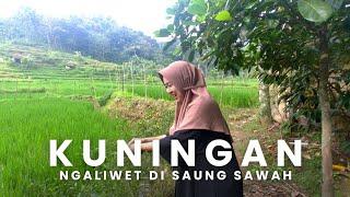 Matak Waas !! Ngaliwet di Saung Sawah, Pedesaan Sunda, Kuningan Jawa Barat