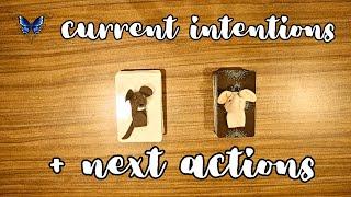 ️ THEIR CURRENT INTENTIONS TOWARDS YOU + NEXT ACTIONS ️️‍🩹 Timeless Tarot Reading 