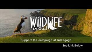 Update on Wildlife Exposed