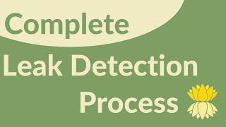 Complete Leak Detection Process (CLDP) by Pondscapes of Charlotte