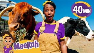 Meekah's Cow Adventure at the Farm! | Educational Videos for Kids | Blippi and Meekah Kids TV