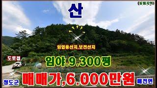 물번,519번) 임야,9.300평 경상북도 청도군 매전면 상평리 2필지 몽땅,6.000만원에 매매합니다 지적도 상의 시멘트포장도로 잘 접하고 있습니다 농림지역,임업용산지,보전산지~