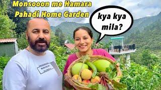 Aaj kya kya mila? Home garden me || Love & Preet Home garden Tour in Monsoon