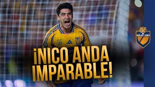 Nico Ibáñez REACCIONA A SU GRAN MOMENTO GOLEADOR en TIGRES