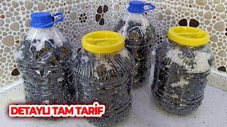 5 Litrelik Damacanada Siyah Zeytin Nasıl Kurulur ve Tatlandırılır ? Tüm Detaylarıyla