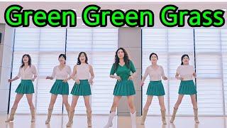 Green Green Grass 2024 Line Dance  Beginner 초급라인댄스