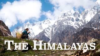 Monsoon in the HIMALAYAS: Manaslu Circuit Trek | MAY 2024 | Nepal