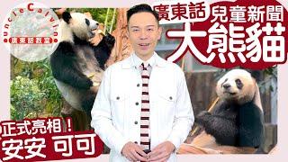 【大熊貓安安可可正式亮相】Giant Pandas AnAn KeKe I 海洋公園 動物 保育 景點 I 兒童新聞報道 UCC News I 廣東話教室