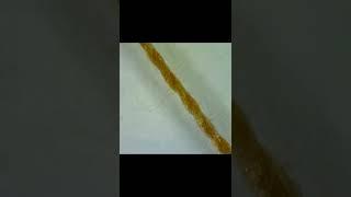 Нитка под микроскопом. Thread under the microscope 200x. Как выглядят вещи при увеличении в 200 раз.