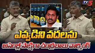 CM Chandrababu Naidu Powerful Warning to YSRCP Leaders | AP Assembly 2024 | Tv5 News