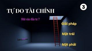 Tự do tài chính nhờ vào đầu tư ? Mặt phải - Mặt trái - Giải pháp