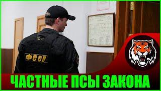 Минфин Одобряет Частных Коллекоров на найме у Государства | Новостник