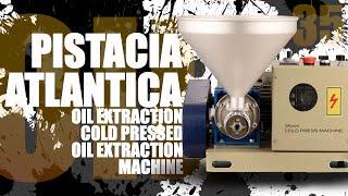 PISTACIA ATLANTICA OIL EXTRACTION - COLD PRESS OIL MACHINE 35MM  - MEDICAL OIL EXTRACTION MACHINE