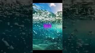 ТЫ НЕ ЧАСТЬ СИСТЕМЫ ТЫ ТВОРЕЦ СВОЕЙ РЕАЛЬНОСТИ #аффирмации #здоровье #медитация #луизахей #успех