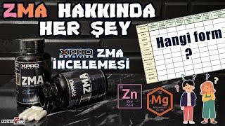 ZMA Hakkında Her Şey ve XPRO ZMA İncelemesi