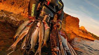 Spearfishing Croatia vs Dinner Catch & Cook November 2024 4K 