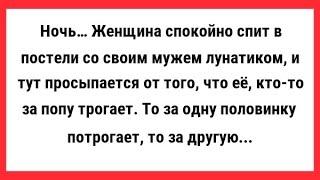 Новые, Смешные и Свежие Анекдоты. Хорошего Вам Настроения.