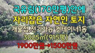 재업편집영상(계절적차이로 인해 현장모습이 다소 차이가 날수있습니다.)170만평 국유림속에 자리잡은 자연인 토지#영양부동산#싼땅 #시골땅#촌땅#경북땅#귀농귀촌#자연인 토지