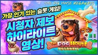 [슬롯머신] 가장 인기 있는 슬롯 게임! 시청자 제보 하이라이트 영상!  THE DOG HOUSE MEGAWAYS  #슬롯머신