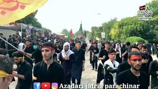 Azadari jafria parachinar || Dasta saqaye e sakina || Islamabad juloos