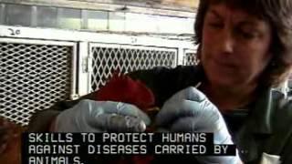 Veterinarians