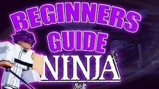 NINJA BEGINNERS GUIDE, EVERYTHING YOU NEED TO KNOW (SETROS NEW GAME)