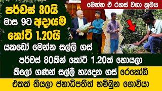 පර්චස් 80යි  අදායම කෝටි 1.20යි - රෙකෝඩ් එකක් තියලා ජනාධිපති හමුවූ ගොවියා  - High Density cultivation